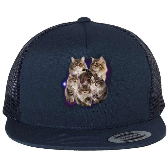 Persian Cats Collage Flat Bill Trucker Hat