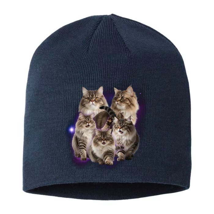 Persian Cats Collage 8 1/2in Sustainable Knit Beanie