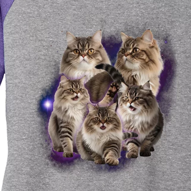 Persian Cats Collage Women's Tri-Blend 3/4-Sleeve Raglan Shirt