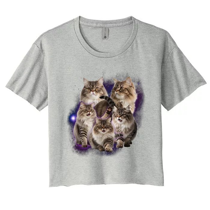 Persian Cats Collage Women's Crop Top Tee