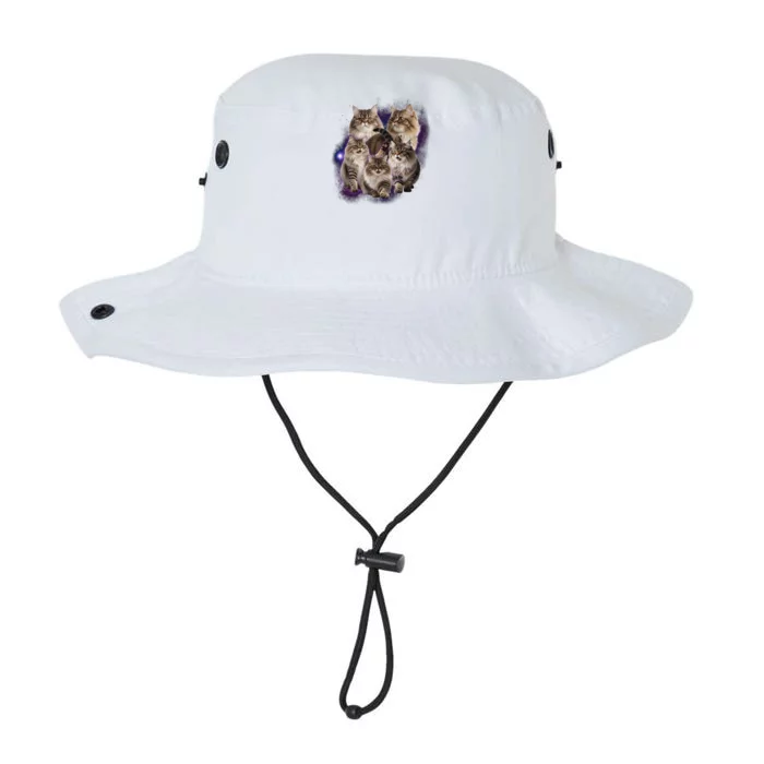 Persian Cats Collage Legacy Cool Fit Booney Bucket Hat