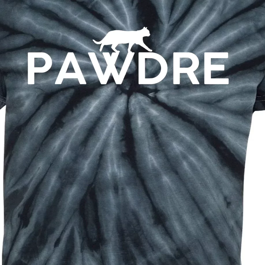 Pawdre Cat Dad Fathers Day Lover Kids Tie-Dye T-Shirt