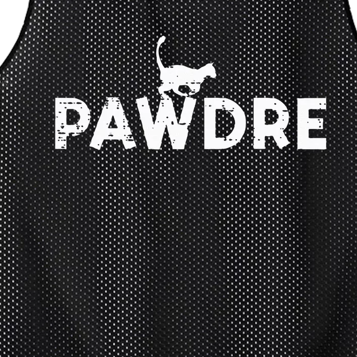 Pawdre Cat Dad Cute Fur Papa Fathers Day Pet Paw Daddy Mesh Reversible Basketball Jersey Tank