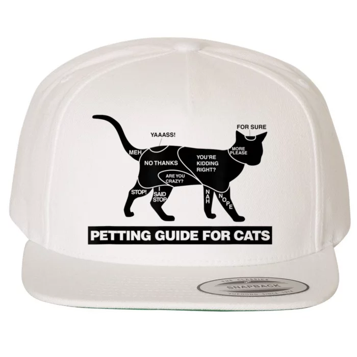 Petting Chart For A Cat Funny How To Pet A Cat Meme Wool Snapback Cap