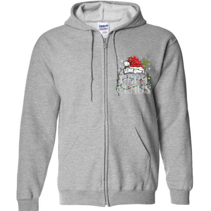 Papa Claus Gift For Christmas Lights Full Zip Hoodie