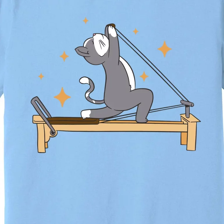 Pilates Cat Lover Funny Premium T-Shirt