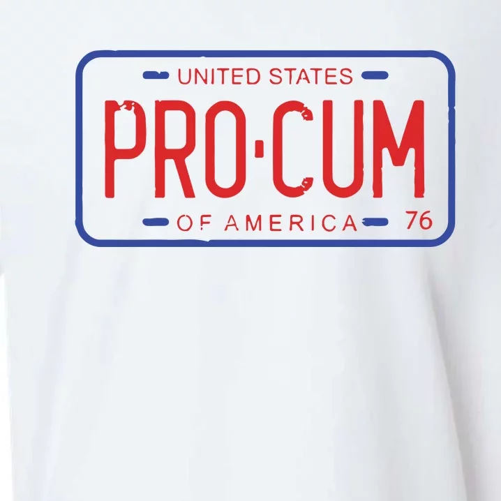 Pro Cum License Plate Sueded Cloud Jersey T-Shirt