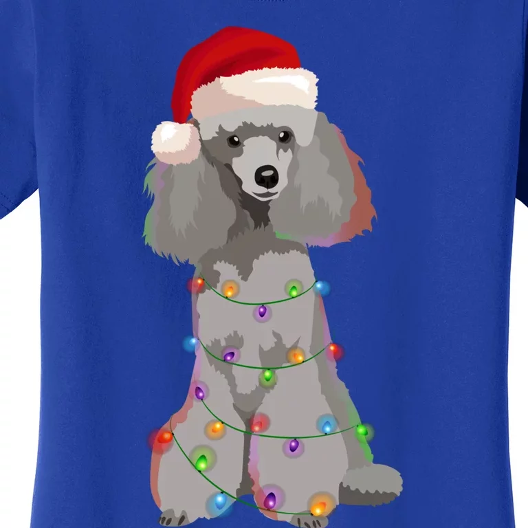 Poodle Christmas Lights Xmas Dog Lover Gift Women's T-Shirt