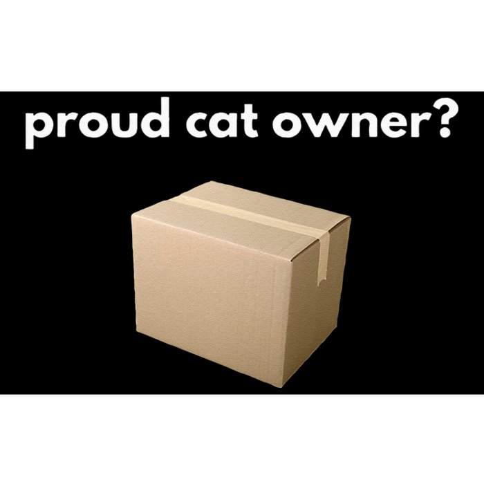 Proud Cat Owner Schrodingers Cat Funny Bumper Sticker