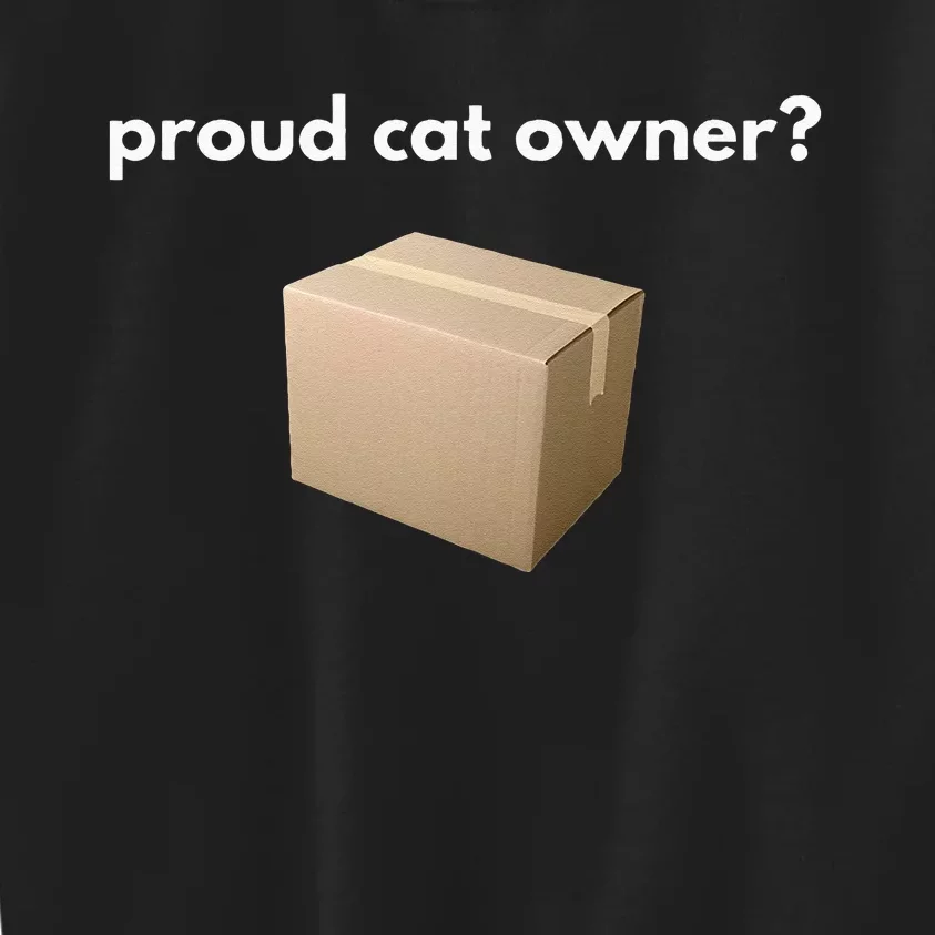 Proud Cat Owner Schrodingers Cat Funny Kids Sweatshirt