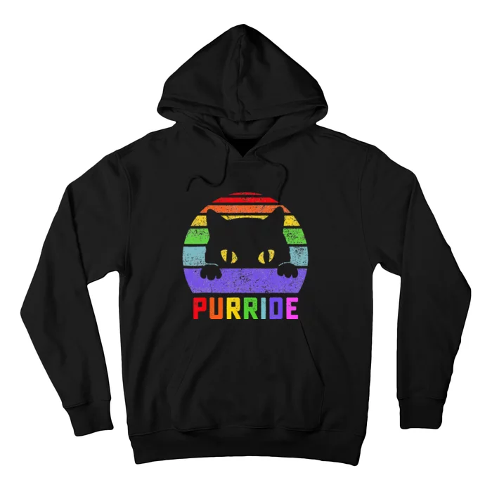 Pride Cat Purride Gay LGBTQ Rainbow Flag Retro Style Hoodie