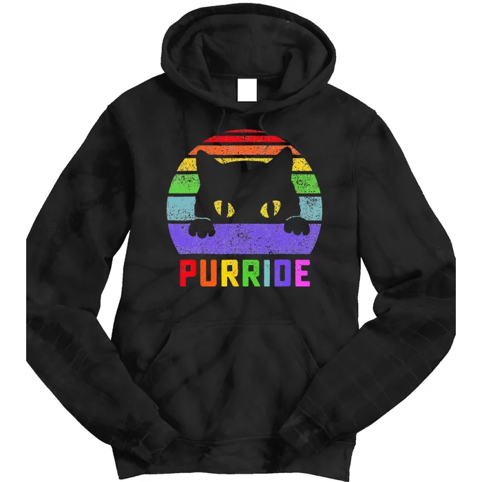 Pride Cat Purride Gay LGBTQ Rainbow Flag Retro Style Tie Dye Hoodie