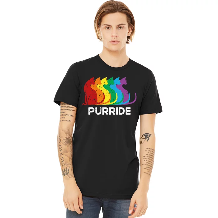 Purride Cat Pride Ally Lgbt Community Rainbow Pride Premium T-Shirt