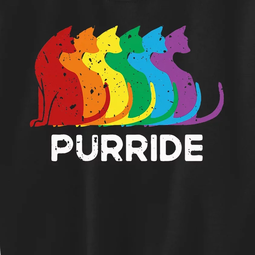 Purride Cat Pride Ally Lgbt Community Rainbow Pride Kids Sweatshirt