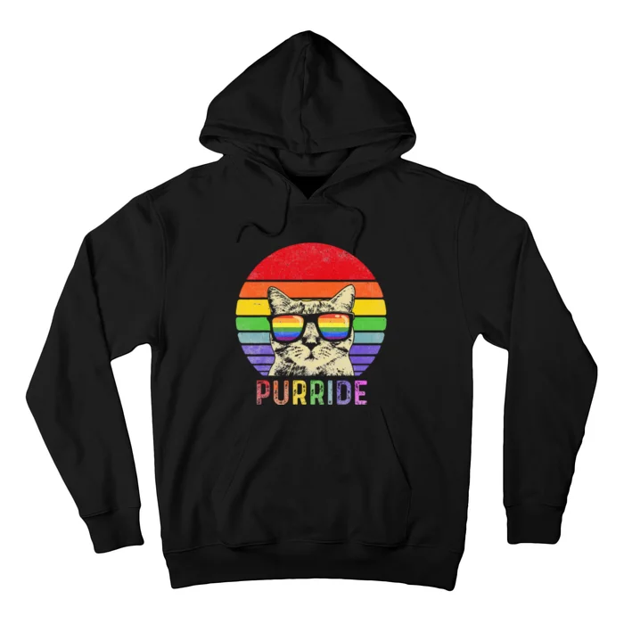 Pride Cat Purride Gay LGBTQ Rainbow Flag Retro Style Hoodie