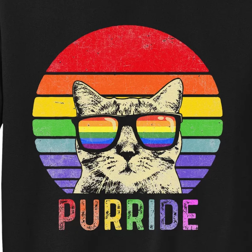 Pride Cat Purride Gay LGBTQ Rainbow Flag Retro Style Sweatshirt