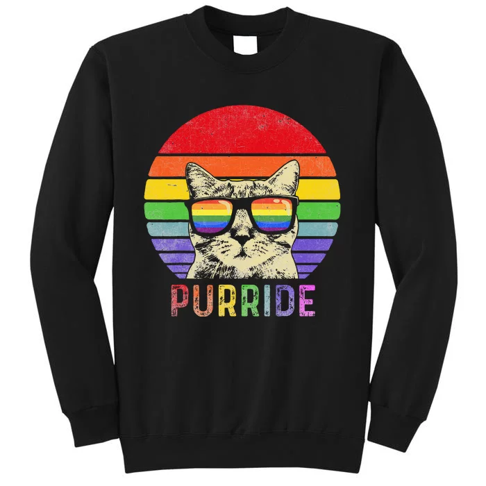 Pride Cat Purride Gay LGBTQ Rainbow Flag Retro Style Sweatshirt