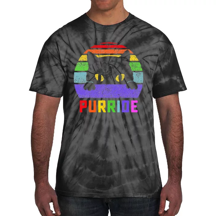 Pride Cat Purride Gay LGBTQ Rainbow Flag Retro Style Tie-Dye T-Shirt