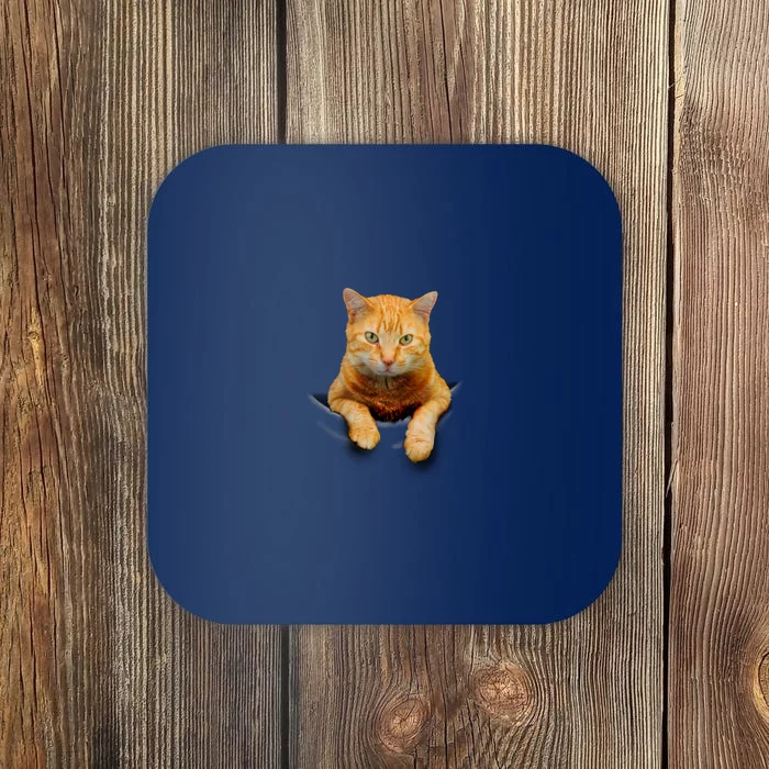 Pocket Cat Coaster