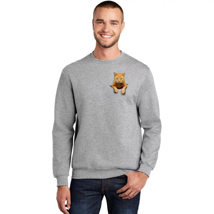 Pocket Cat Sweatshirt