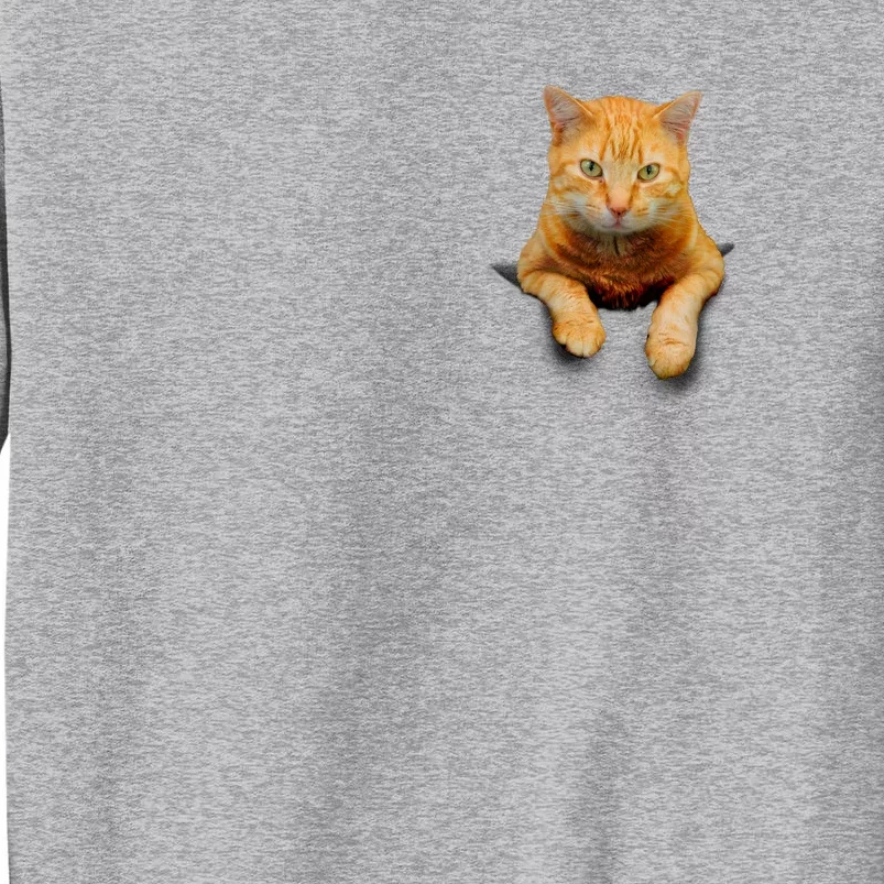 Pocket Cat Sweatshirt