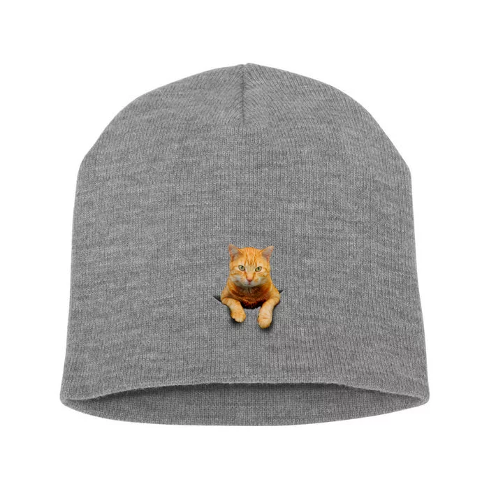 Pocket Cat Short Acrylic Beanie