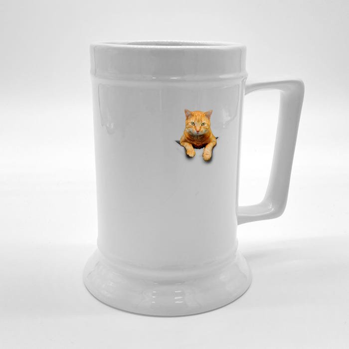 Pocket Cat Front & Back Beer Stein