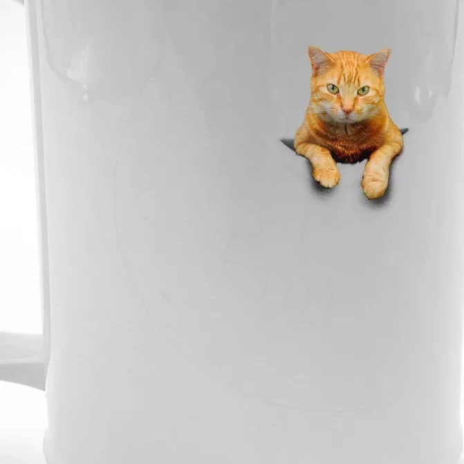 Pocket Cat Front & Back Beer Stein