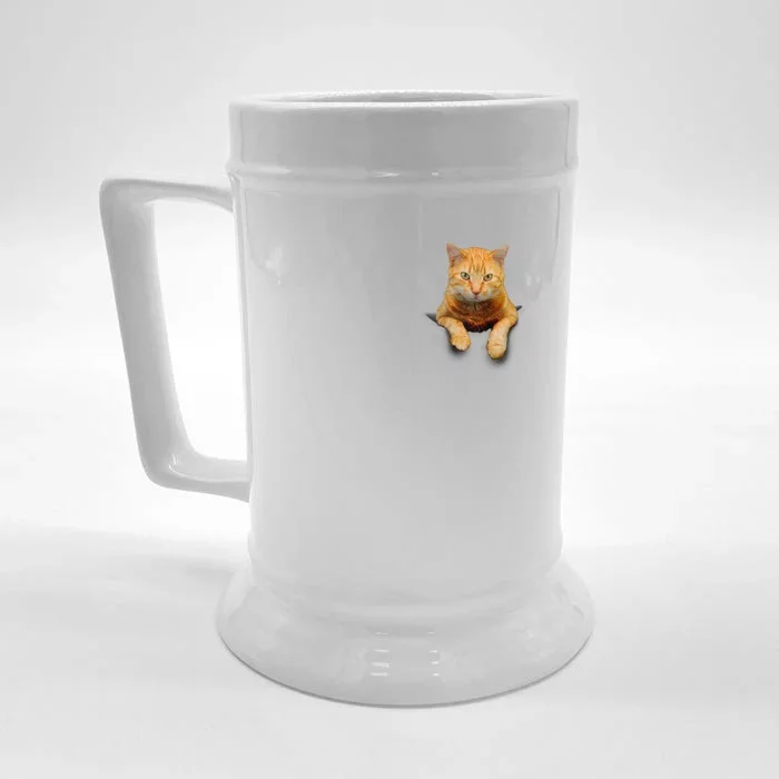 Pocket Cat Front & Back Beer Stein