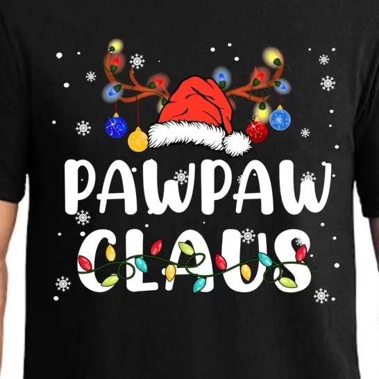 Pawpaw Claus Santa Reindeer Xmas Lights Family Christmas Gift Pajama Set