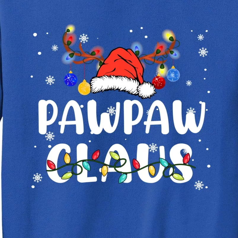 Pawpaw Claus Santa Reindeer Xmas Lights Family Christmas Gift Sweatshirt