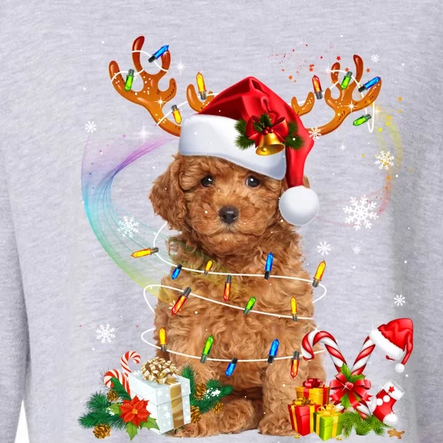 Poodle Christmas Tree Funny Lights Santa Hat Dog Lover Xmas Gift Cropped Pullover Crew