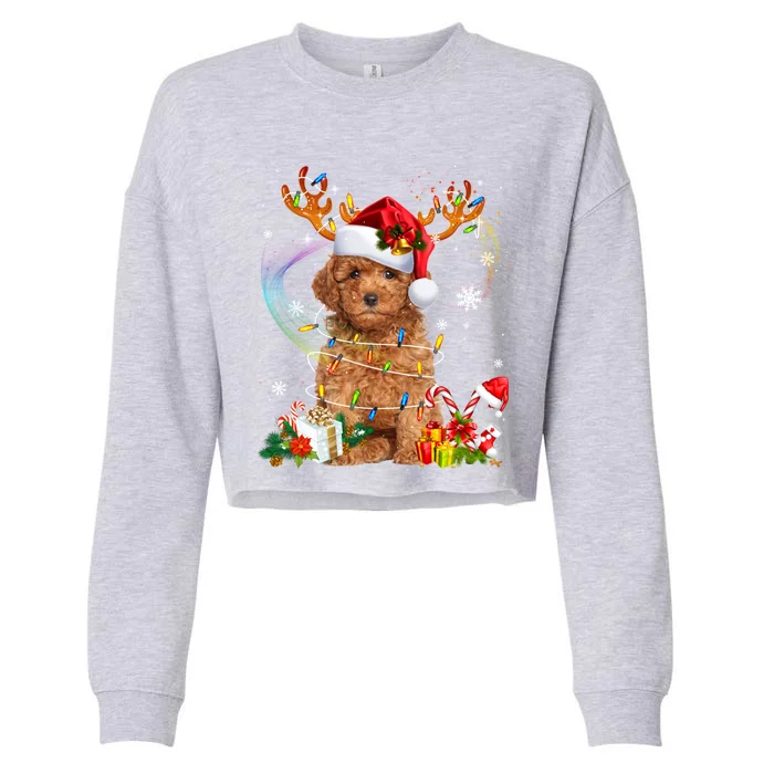 Poodle Christmas Tree Funny Lights Santa Hat Dog Lover Xmas Gift Cropped Pullover Crew