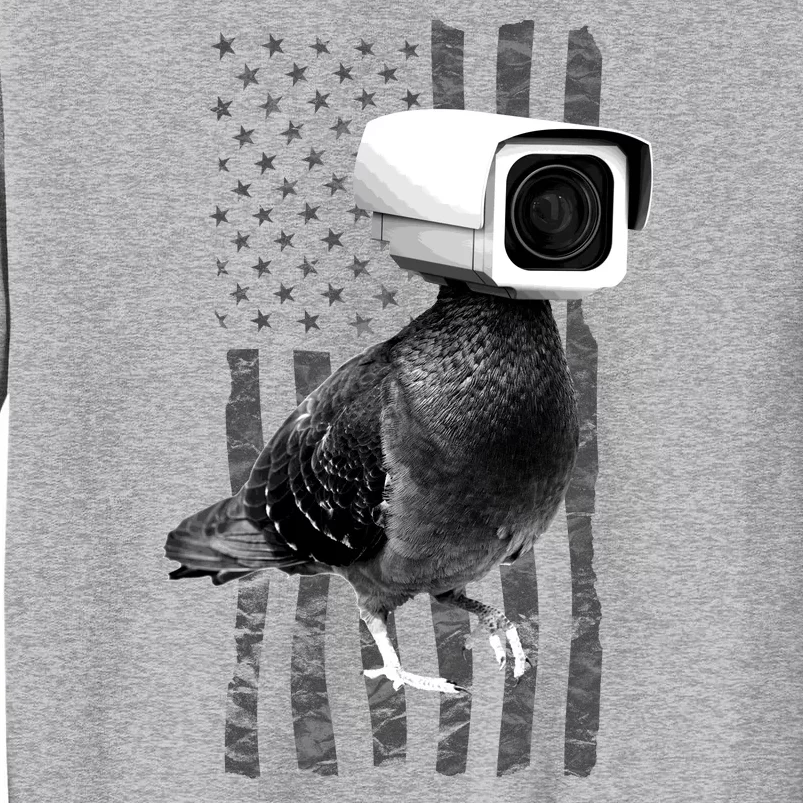 Pidgeon Camera USA Flag Sweatshirt