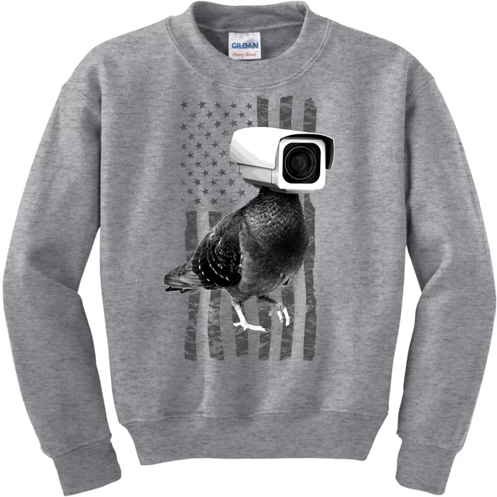 Pidgeon Camera USA Flag Kids Sweatshirt