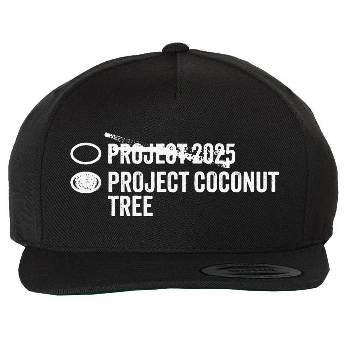 Project Coconut Vs Project 2025 Funny Voting Ballot Wool Snapback Cap