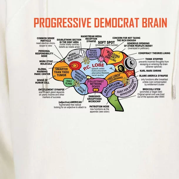 Progressive Democrat Brain Diagram Funny Womens Funnel Neck Pullover Hood