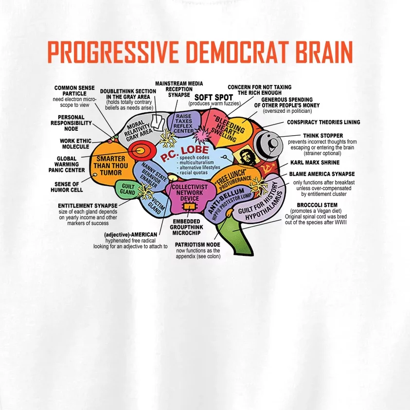 Progressive Democrat Brain Diagram Funny Kids Sweatshirt