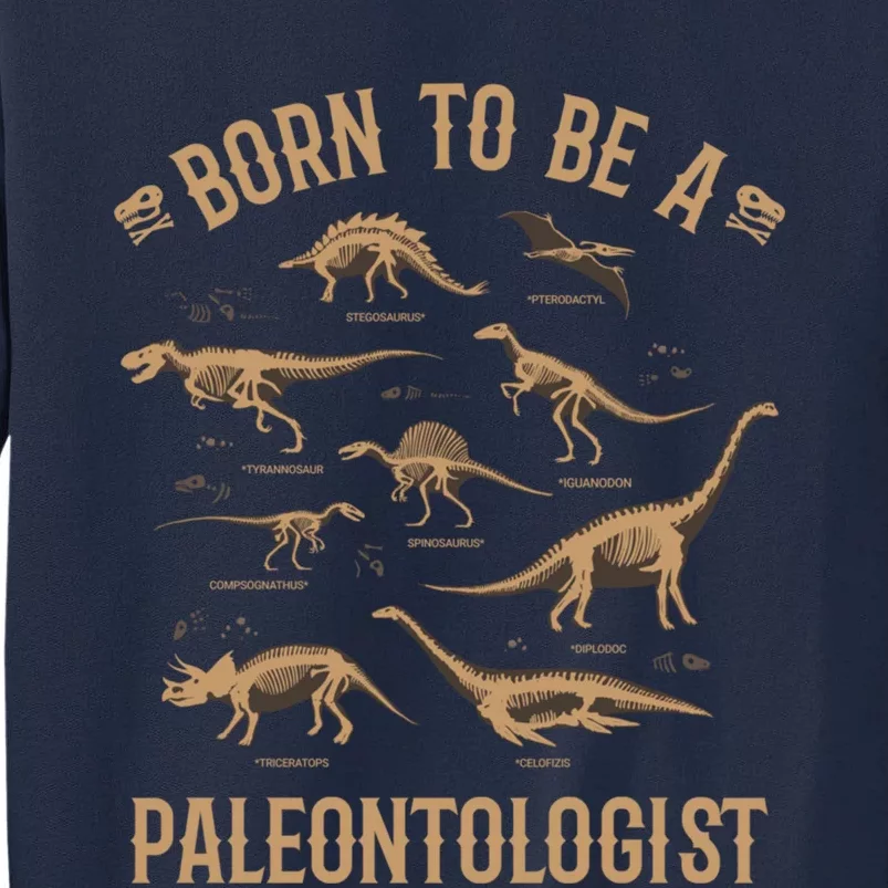 Paleontology Dino Dinosaurs Lover Paleontologist Gifts Tall Sweatshirt