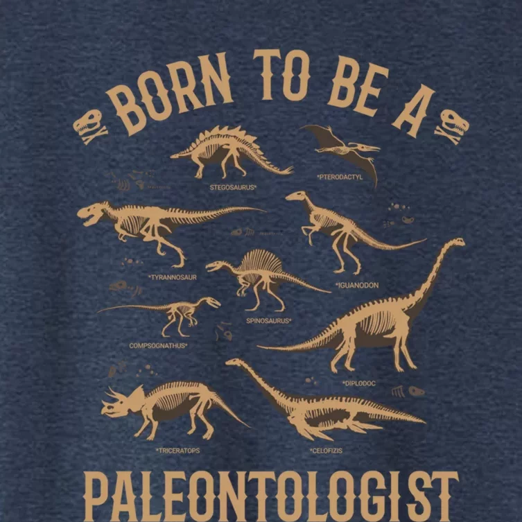 Paleontology Dino Dinosaurs Lover Paleontologist Gifts Women's Crop Top Tee