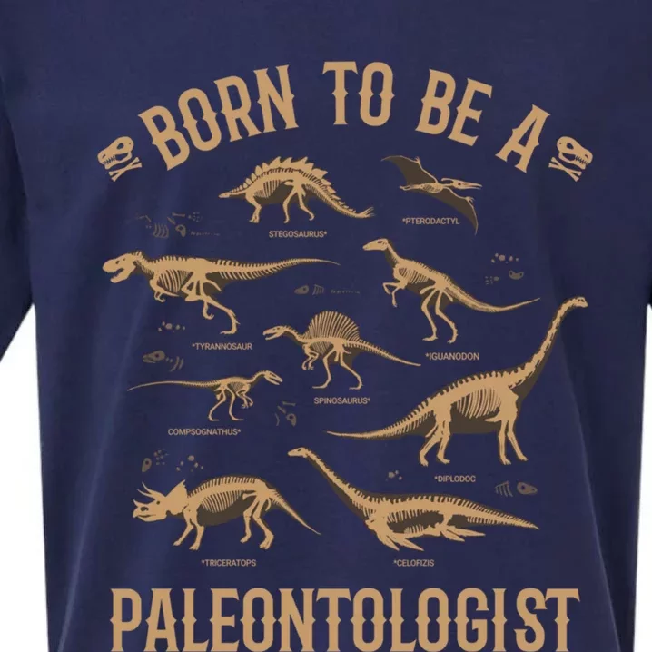 Paleontology Dino Dinosaurs Lover Paleontologist Gifts Sueded Cloud Jersey T-Shirt