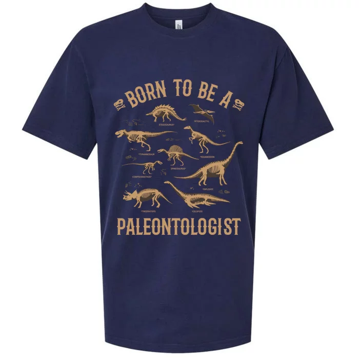 Paleontology Dino Dinosaurs Lover Paleontologist Gifts Sueded Cloud Jersey T-Shirt