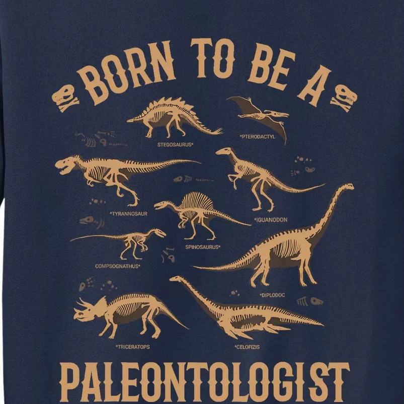 Paleontology Dino Dinosaurs Lover Paleontologist Gifts Sweatshirt