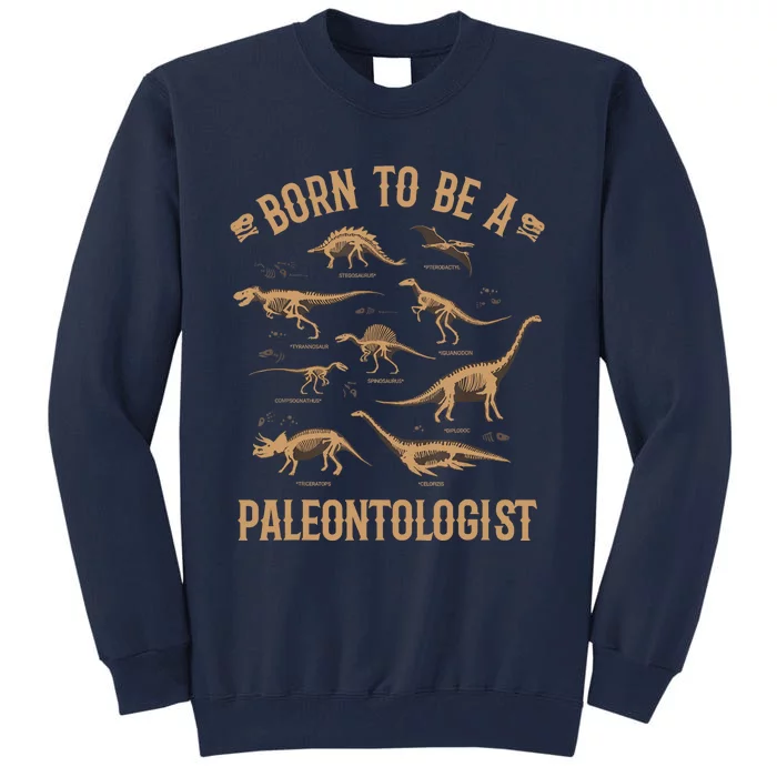 Paleontology Dino Dinosaurs Lover Paleontologist Gifts Tall Sweatshirt