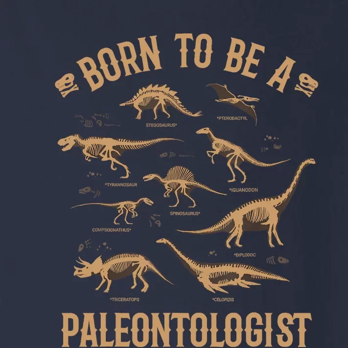 Paleontology Dino Dinosaurs Lover Paleontologist Gifts Toddler Long Sleeve Shirt