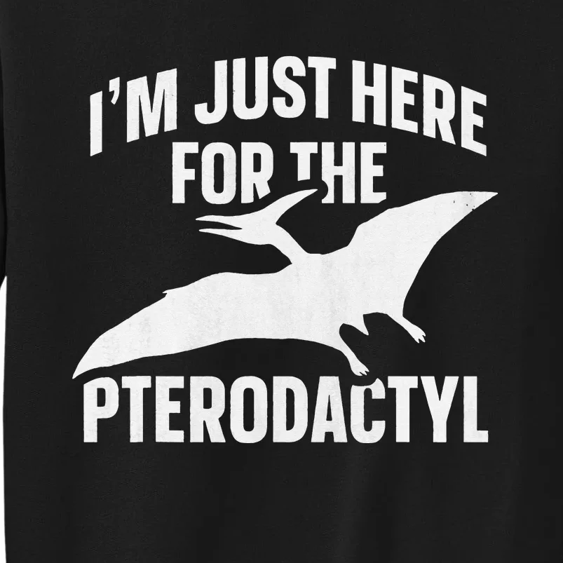 Pterodactyl Design for a Pterodactyl Toddler Tall Sweatshirt