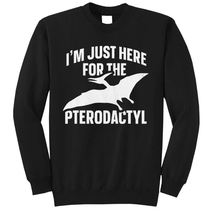 Pterodactyl Design for a Pterodactyl Toddler Tall Sweatshirt