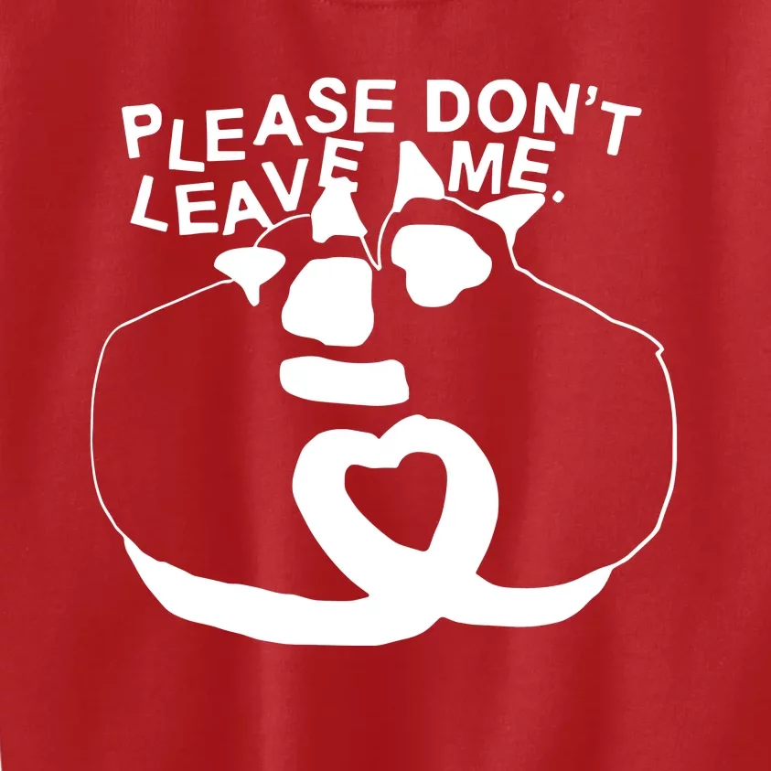 Please DonT Leave Me Racoon Kids Sweatshirt