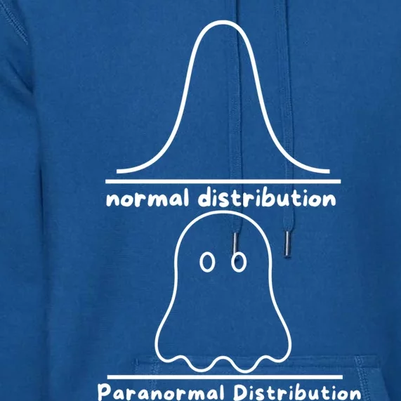 Paranormal Distribution Math Statistics Funny Ghost Math Great Gift Premium Hoodie