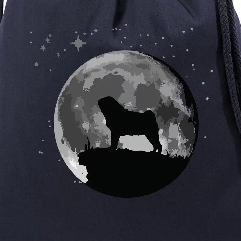 Pug Dog Moon Drawstring Bag